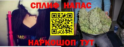 прущие грибы Партизанск