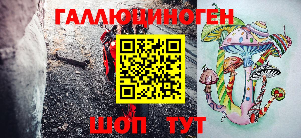 Псилоцибиновые грибы прущие грибы Свободный
